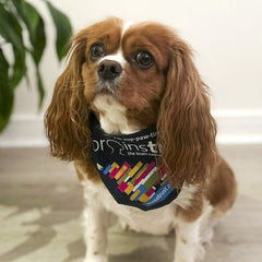 brainstrust Dog Bandana